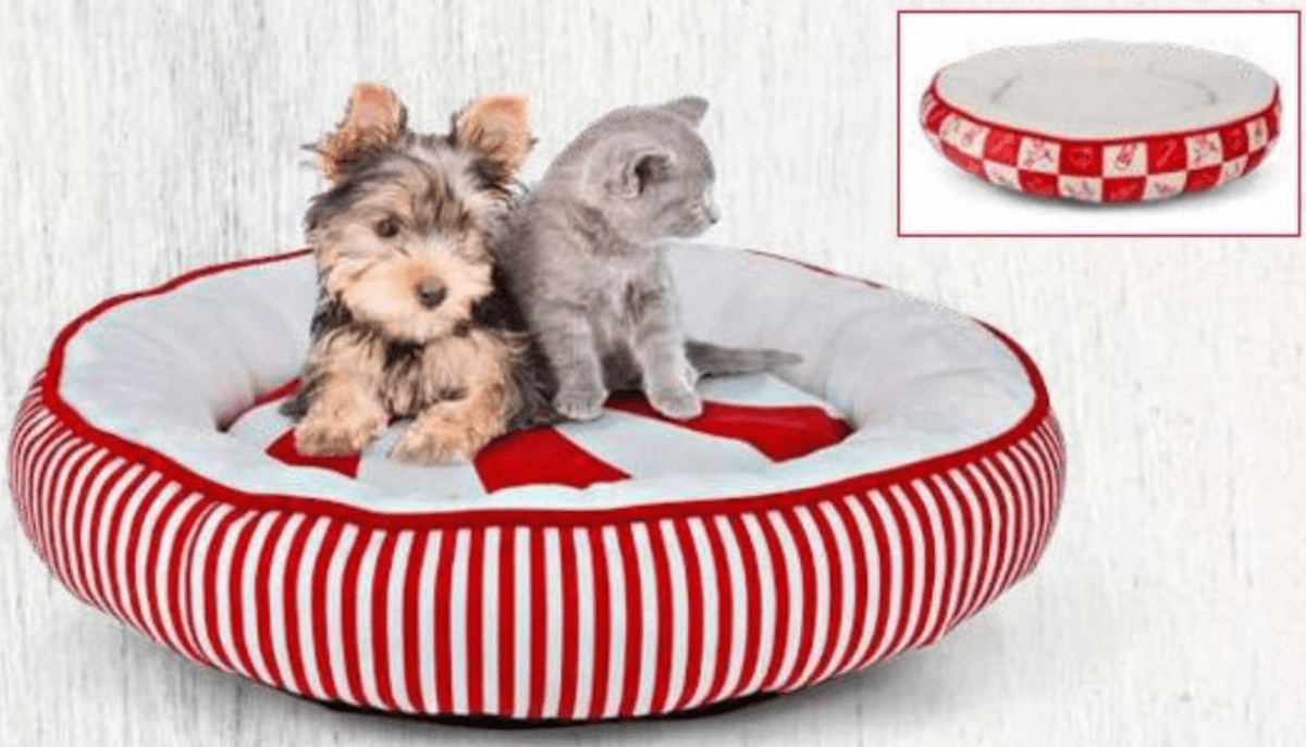 Jastuk za ljubimce Radames - Akcija u trgovini Eurospin