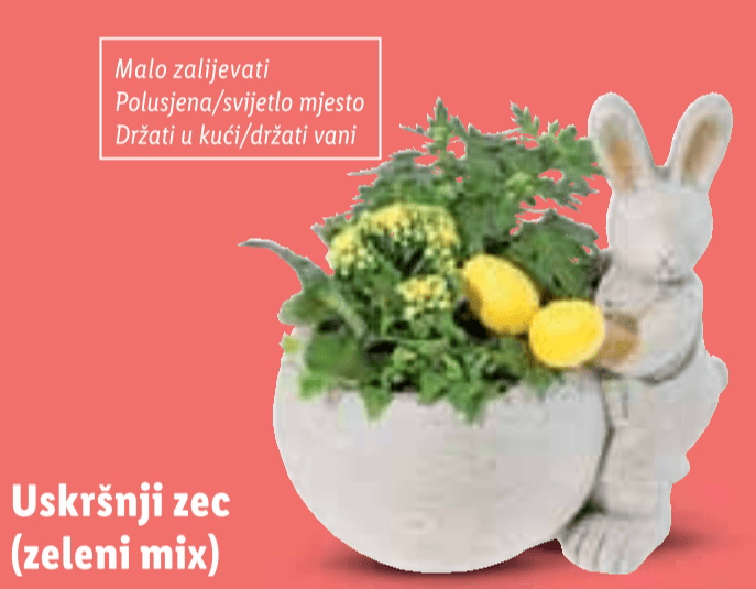 Uskršnji zec Komad - Akcija u trgovini Lidl