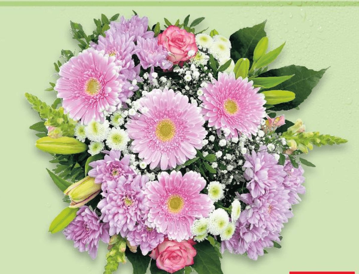 Premium buket 50 cm - Akcija u trgovini Kaufland