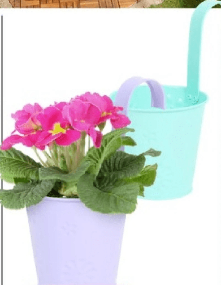 Viseća tegla za cvijeće - Akcija u trgovini Action