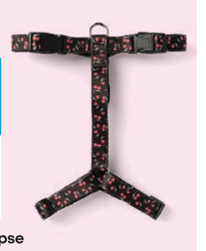 Oprsnica za pse XS-M - Akcija u trgovini Pepco