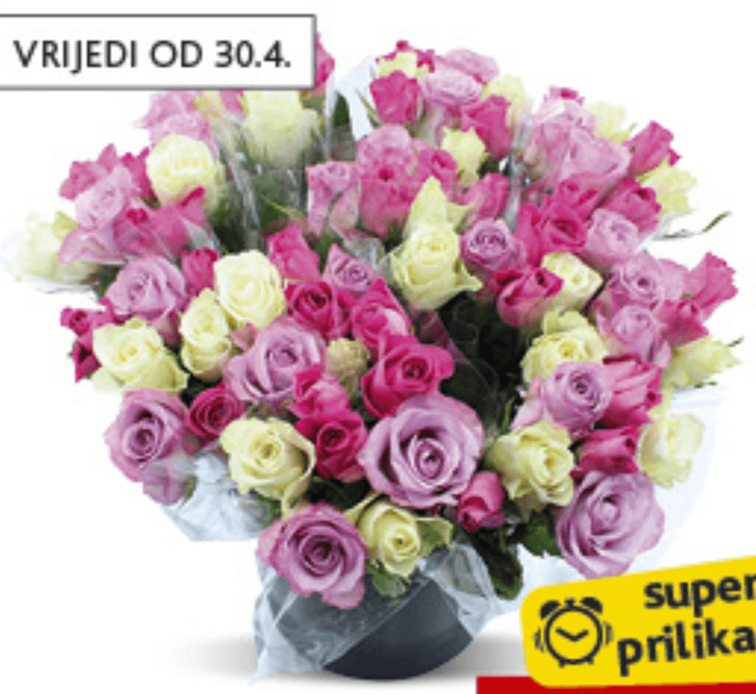 Buket 7 ruža kom - Akcija u trgovini Konzum