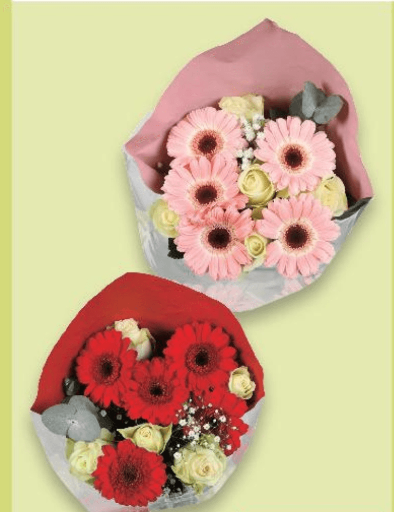 Buket ruže i gerberi 1 buket - Akcija u trgovini Kaufland