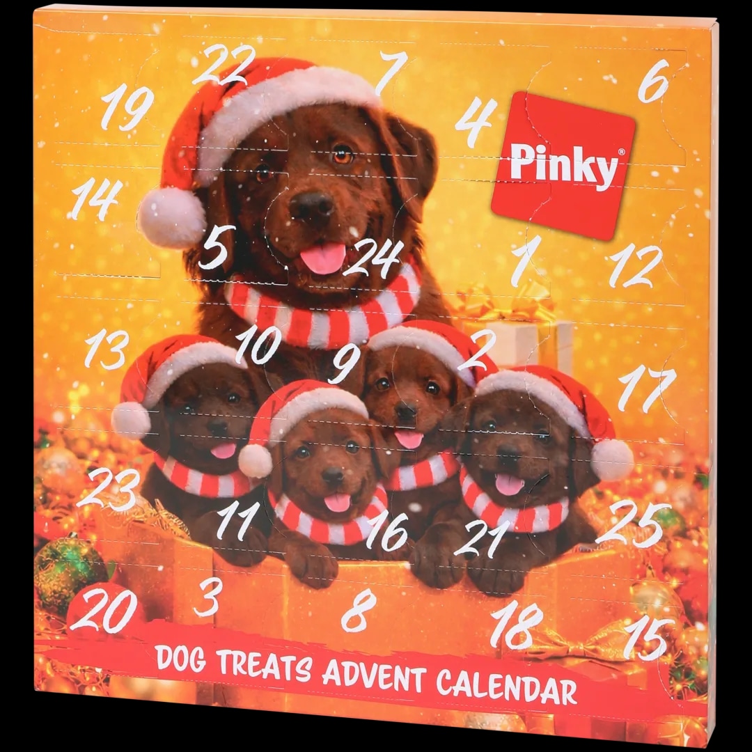 Pinky adventski kalendar 24 komada Akcija u trgovini Action