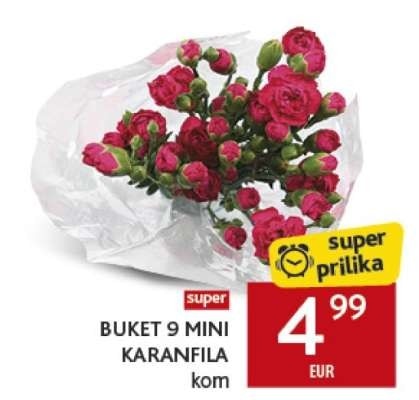 Buket 9 mini karancfila kom Akcija u trgovini Konzum