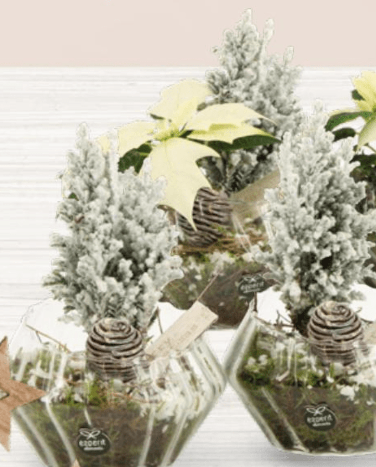 Aranžman Xmas 1 kom - Akcija u trgovini Interspar