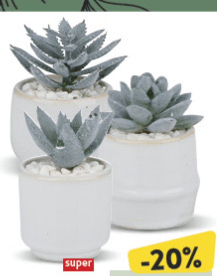 Sukulenti umjetni 1 kom - Akcija u trgovini Konzum