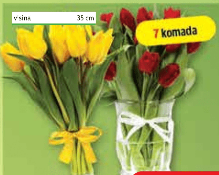 Buket tulipana 7 komada - Akcija u trgovini Plodine