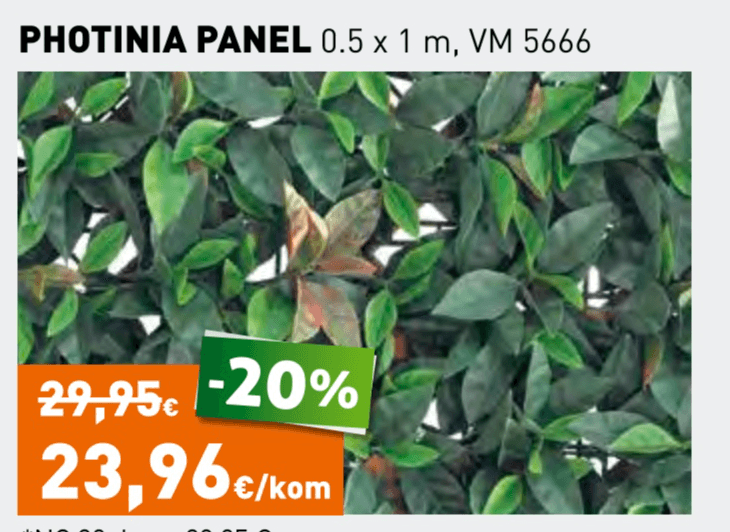 Photinia panel 0.5 x 1 m - Akcija u trgovini Grama