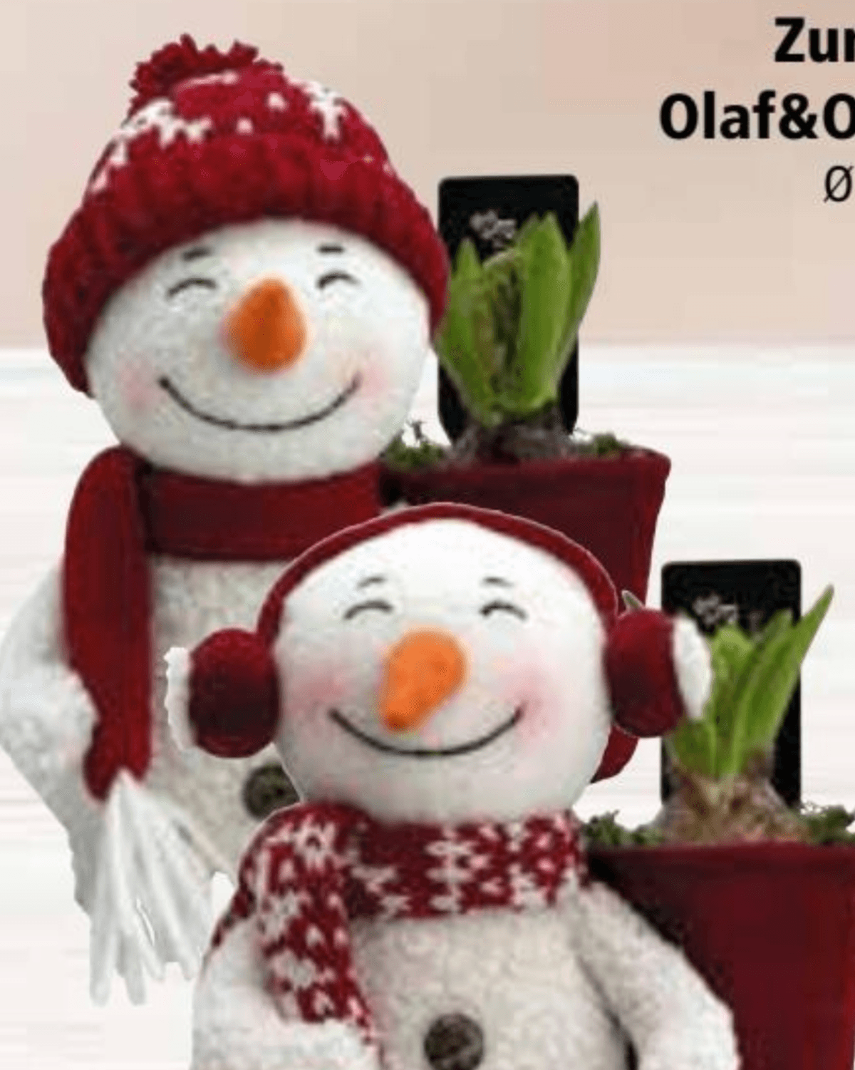 Zumbul Olaf&Olivia 1 kom - Akcija u trgovini Interspar