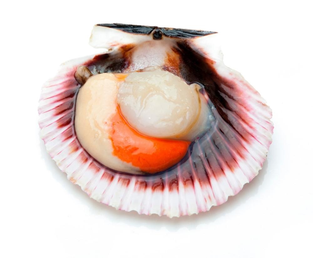 Jakobove kapice 1kg - Akcija u trgovini Konzum