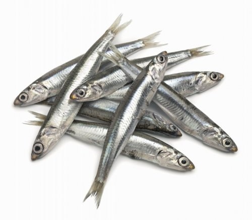 Svježa domaća srdela 1 kg Akcija u trgovini Spar