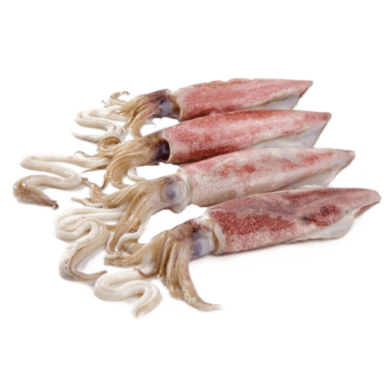 Lignja Patagonika cijela 500 g - Akcija u trgovini Kaufland