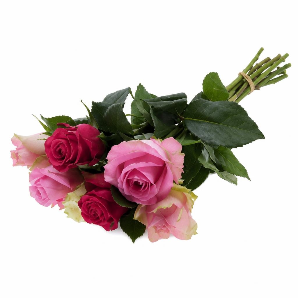 Buket 7 ruža Harmony Pink - Akcija u trgovini Konzum