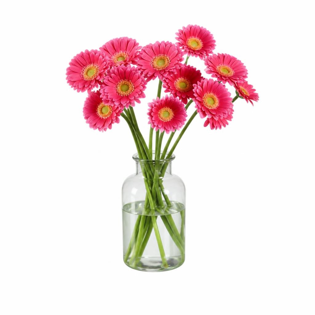 Gerberi cca 50 cm - Akcija u trgovini Lidl
