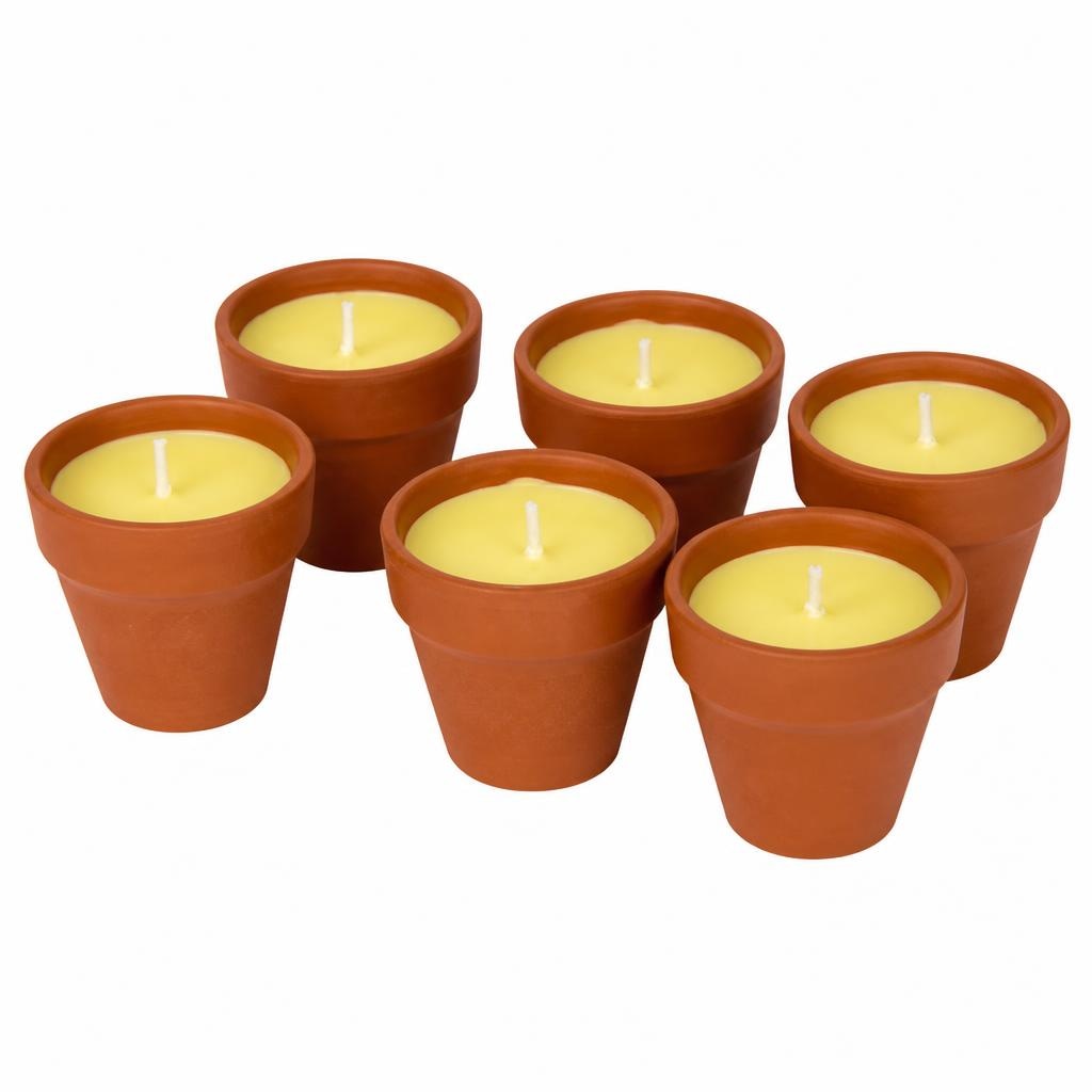 Svijeće Citronella 6 kom Akcija u trgovini Action