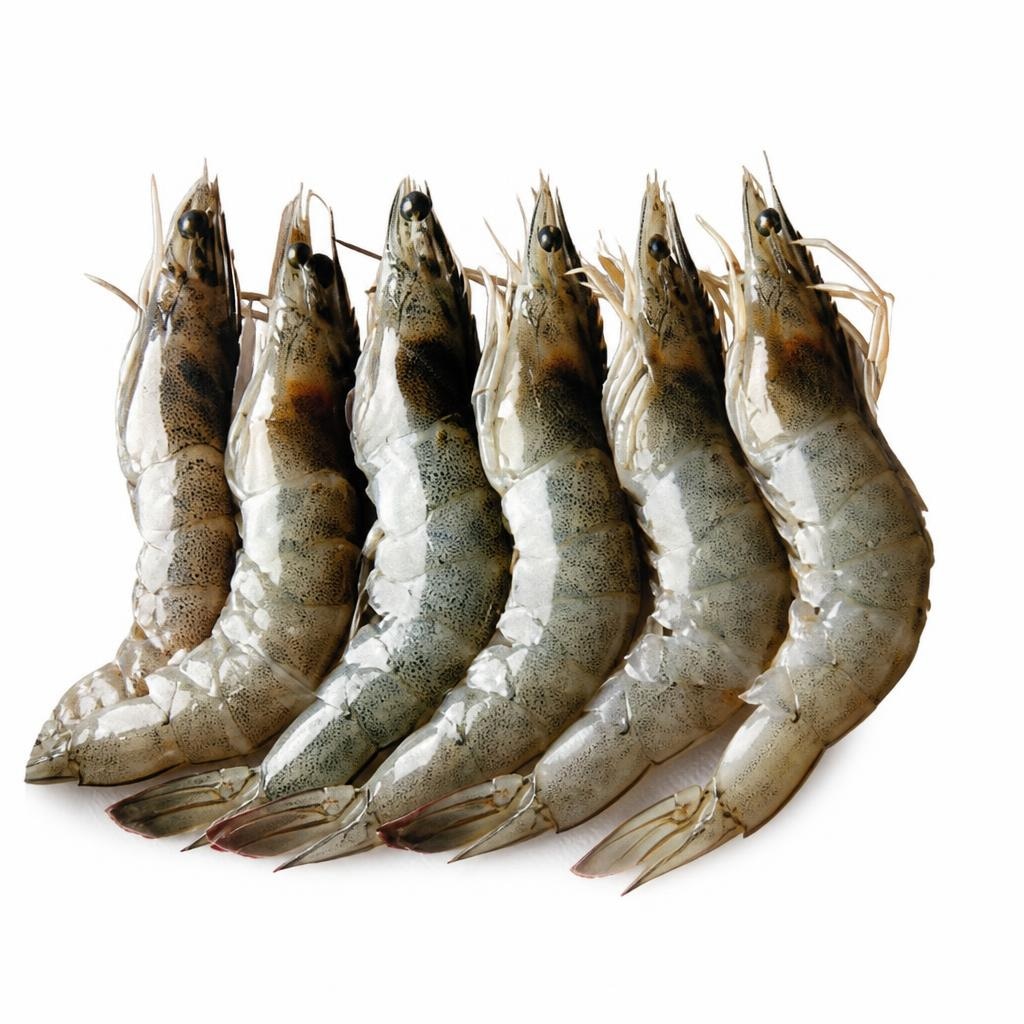 Kozice 1 kg Akcija u trgovini Tommy