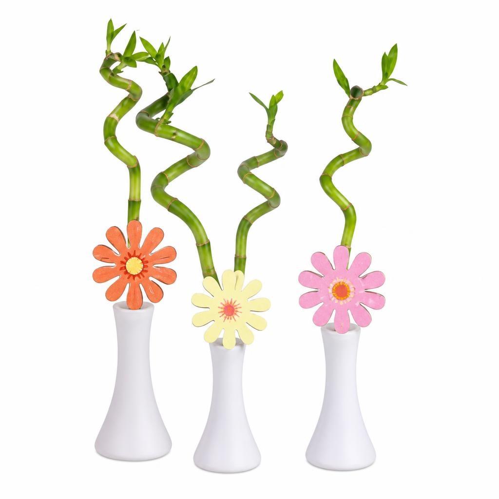 Lucky Bamboo Mix - Akcija u trgovini Konzum