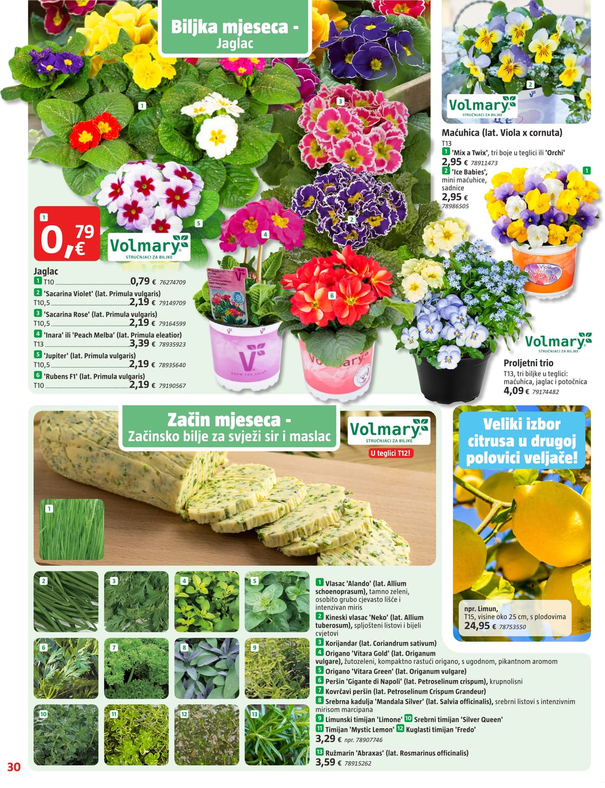 Stranica 30. Bauhaus kataloga - Veljača 2026. od 14.02.2026.