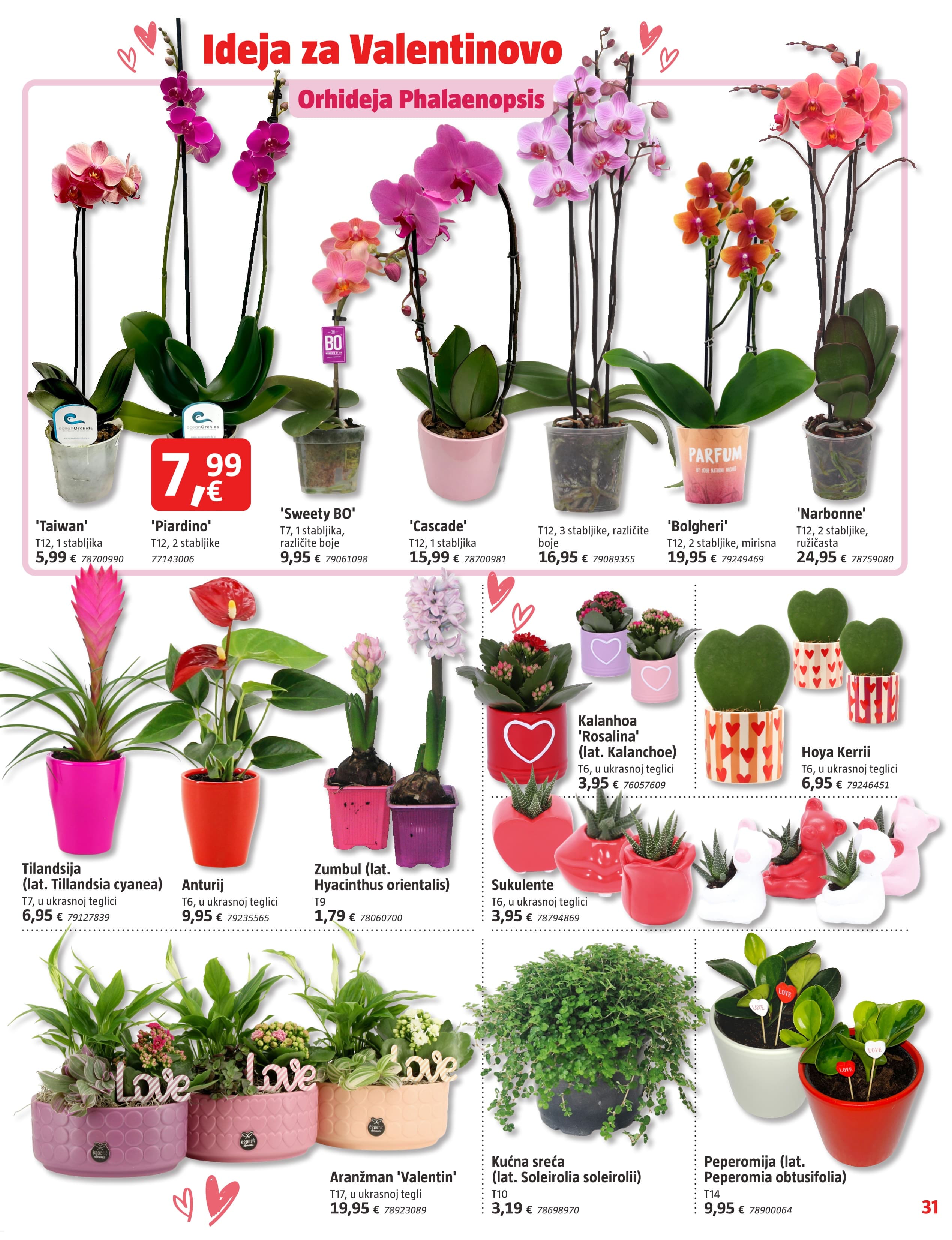 Stranica 31. Bauhaus kataloga - Veljača 2026.