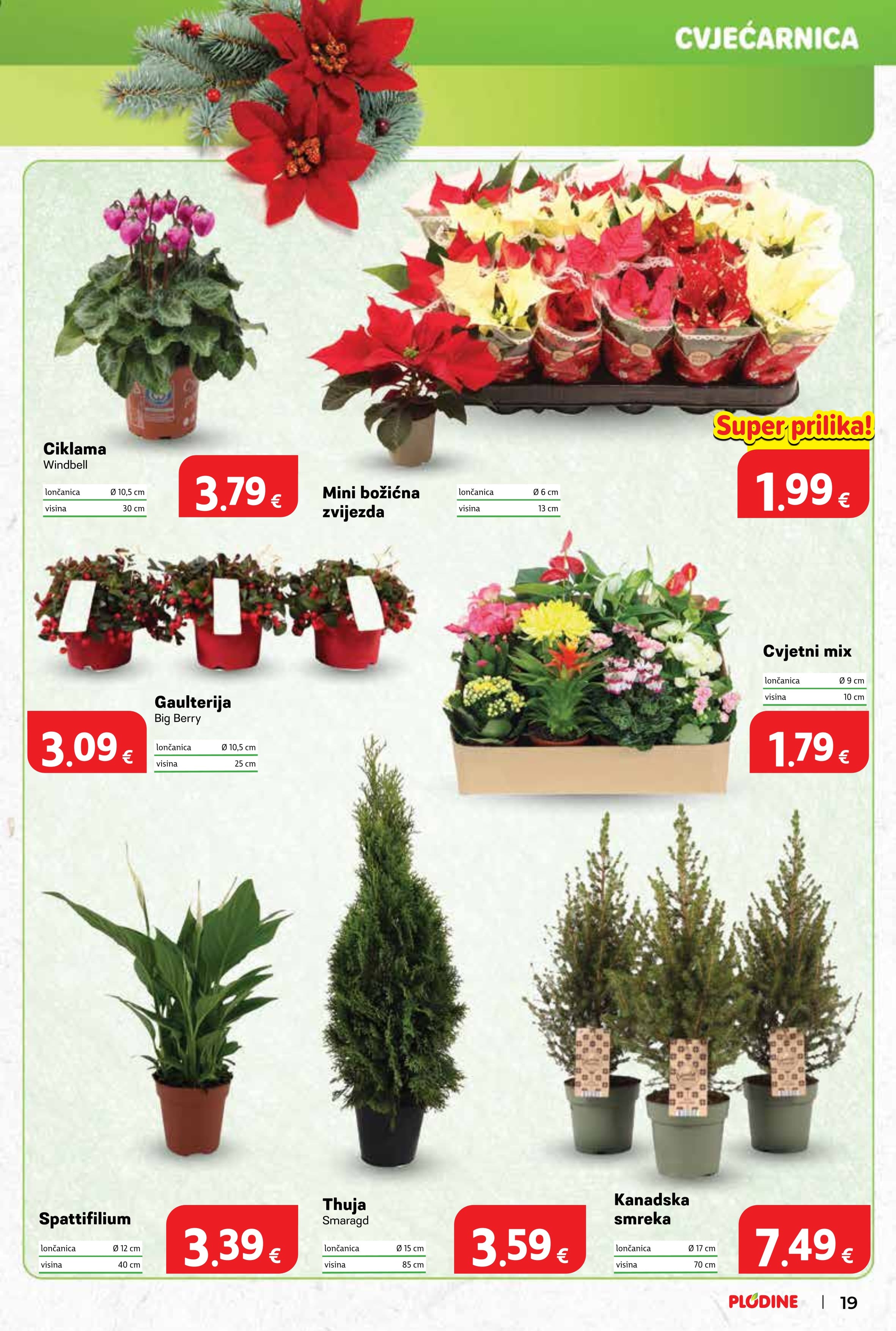 Stranica 19. Plodine kataloga - Akcije od 12.11. do 17.11.2025.
