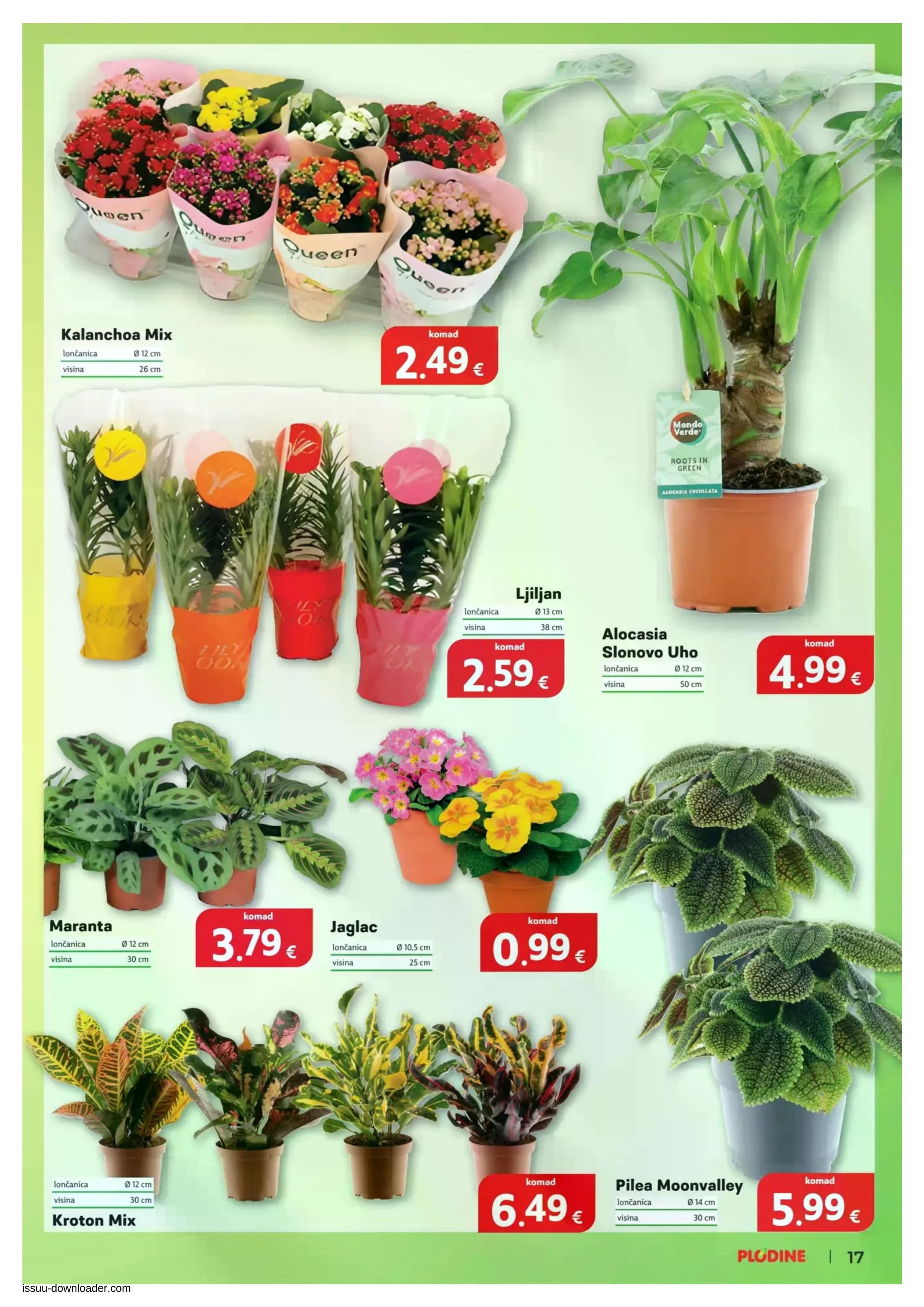 Stranica 17. Plodine kataloga - Akcijska ponuda