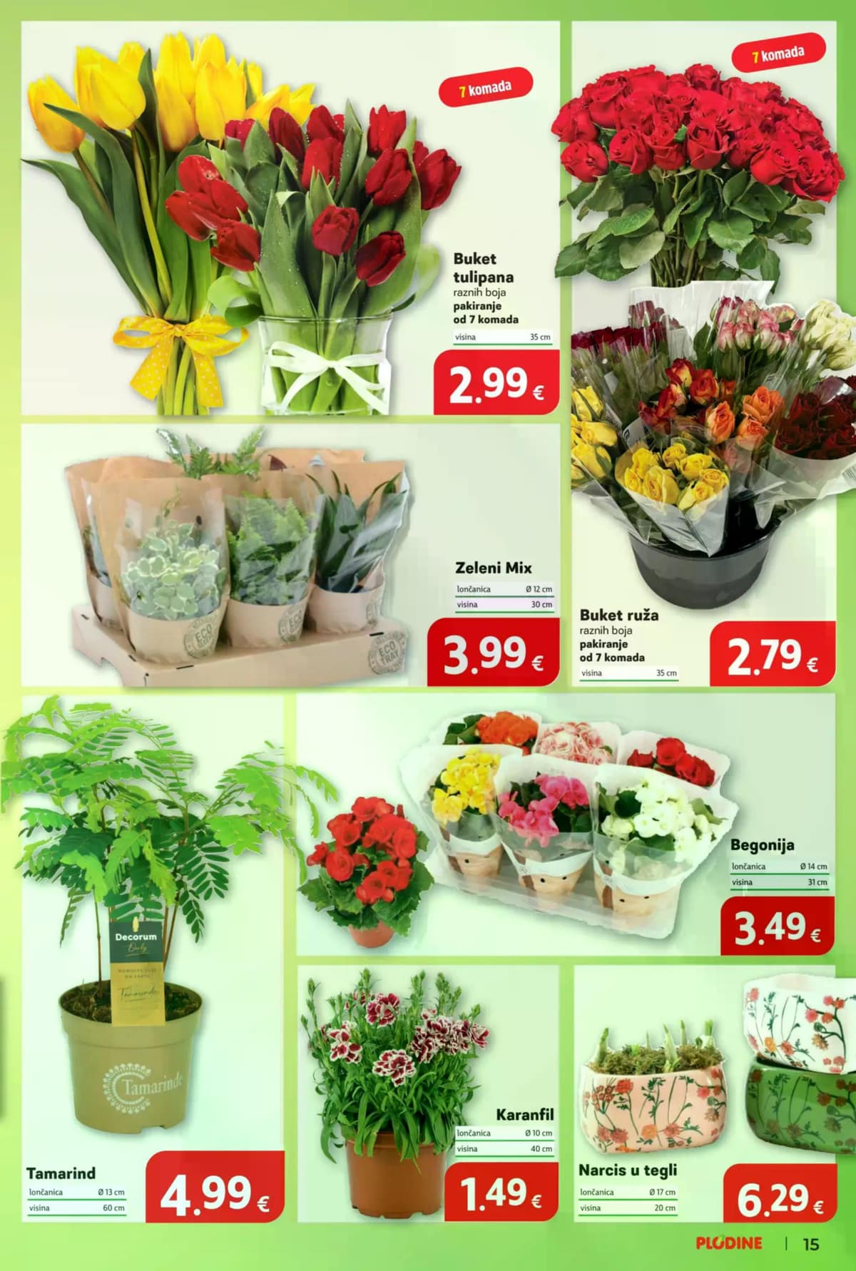 Stranica 15. Plodine kataloga - Akcija od 14.02.2026.