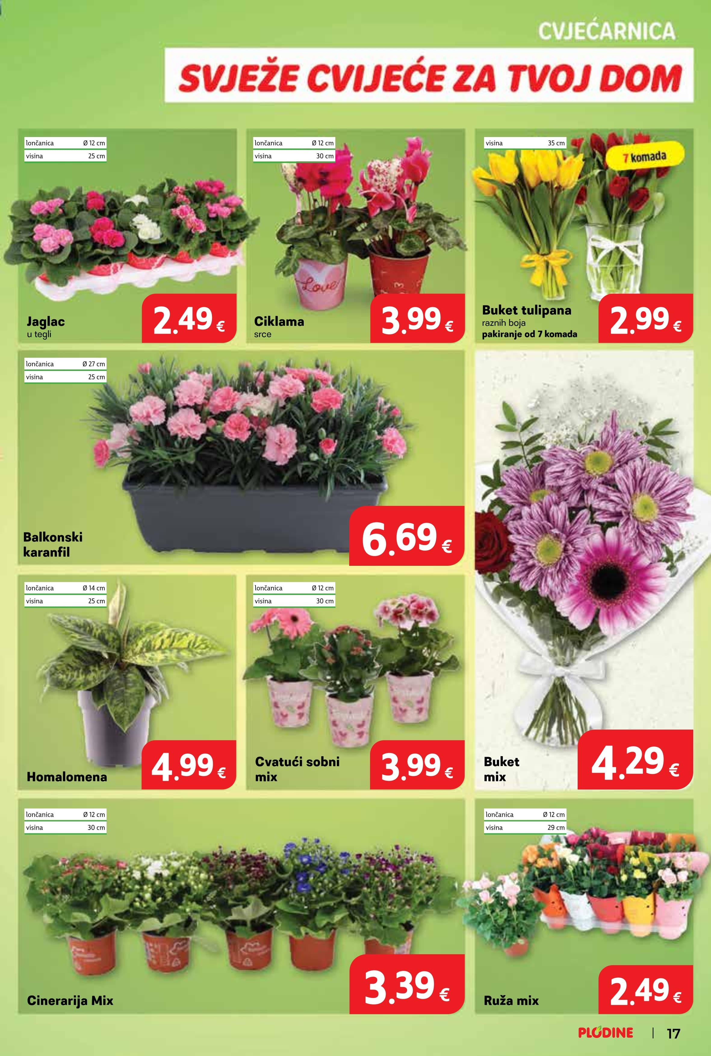 Stranica 17. Plodine kataloga - Tjedna Akcija
