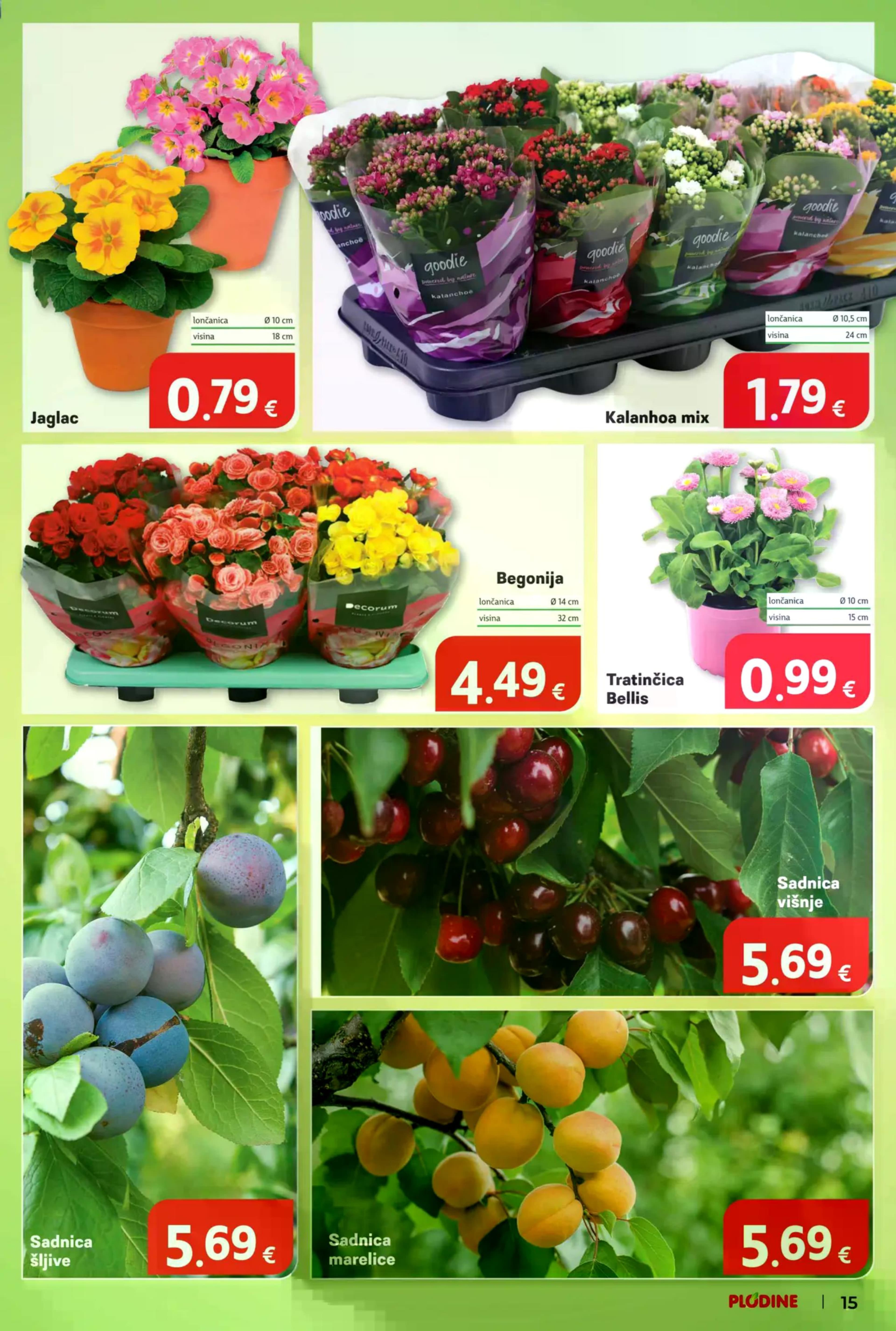 Stranica 15. Plodine kataloga - Tjedna Akcija