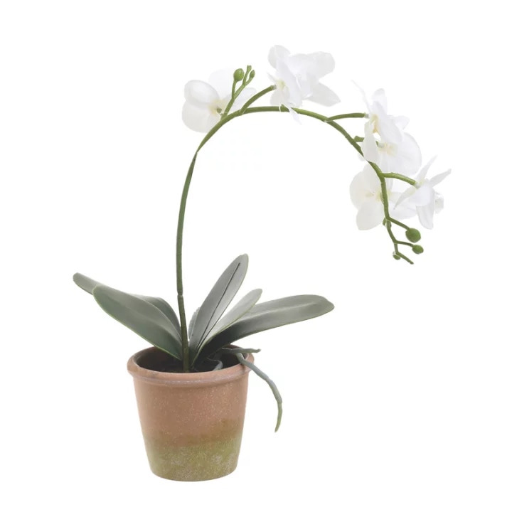 Orhideja umjetna 33 cm