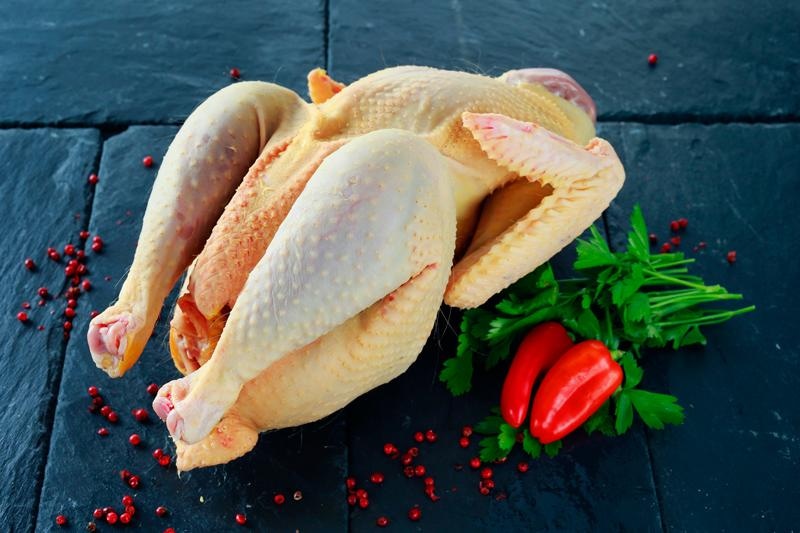 Pile bez iznutrica P.G.Orehovec - Akcija u trgovini KTC