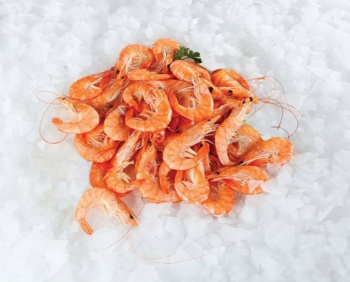 Pacifičke kozice 1 kg