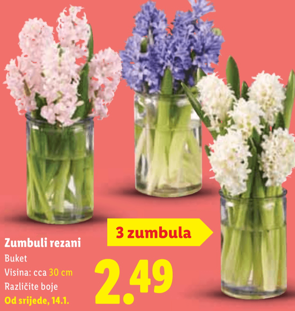 Zumbuli rezani 3 zumbula - Akcija u trgovini Lidl