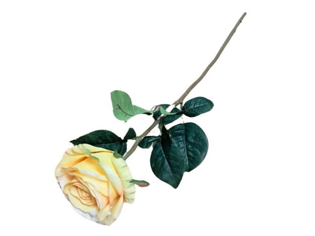 Ruža dužine 60 cm komad - Akcija u trgovini Kaufland