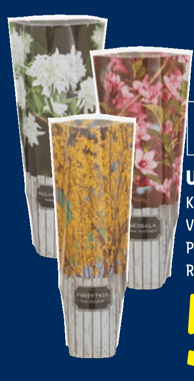 Ukrasni grm Komad - Akcija u trgovini Lidl