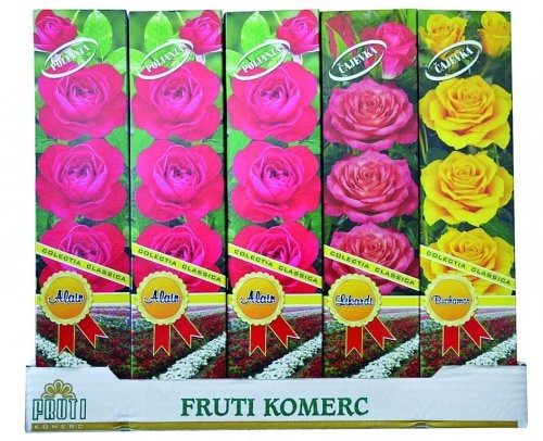 Sadnica ruže - Akcija u trgovini Interspar