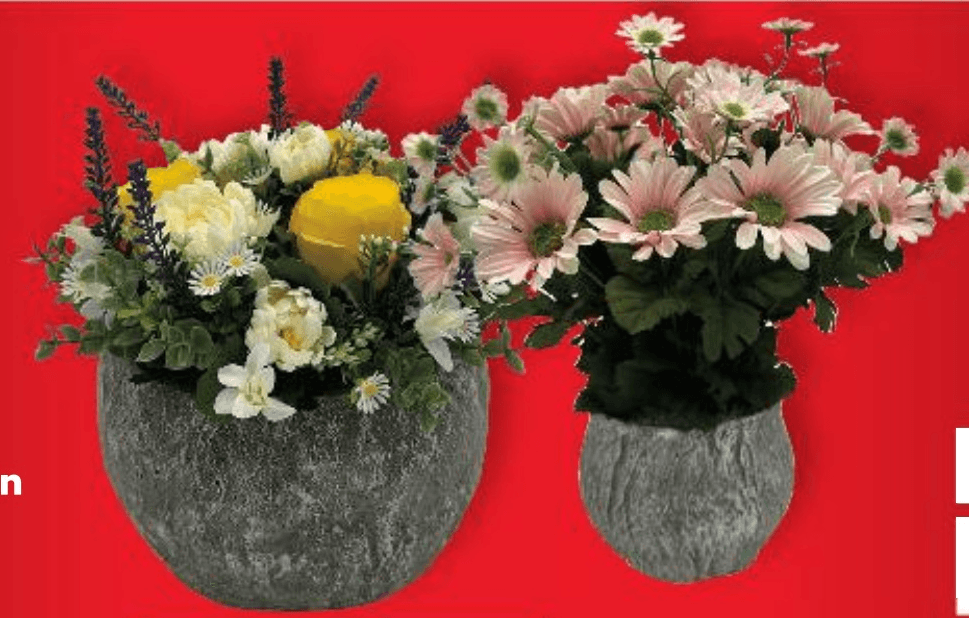 Cvjetni aranžman - Akcija u trgovini Kaufland