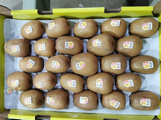 Kivi gold pakiranje od 3 komada BIO - Akcija u trgovini Kaufland