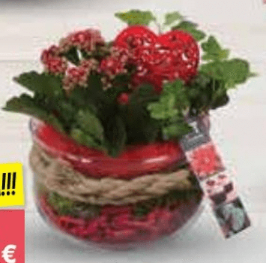 Aranžman valentinovo 1 kom - Akcija u trgovini NTL