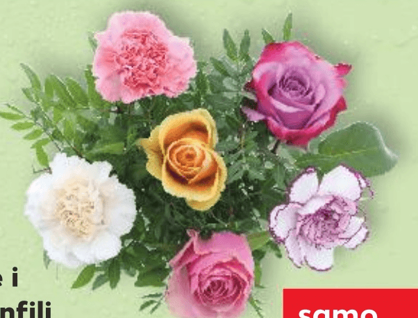 Ruže i karanfili buket 40 cm komad - Akcija u trgovini Kaufland