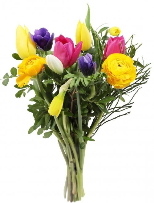Narcise buket mix komad - Akcija u trgovini Kaufland
