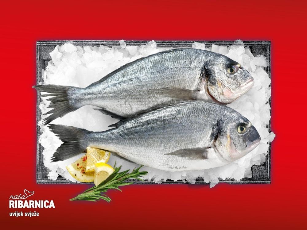 Svježa očišćena jadranska orada 720 g naša RIBARNICA