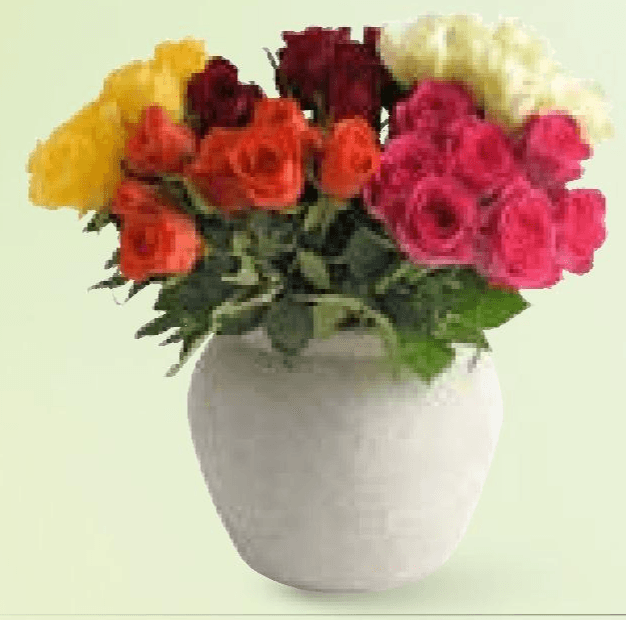 Buket ruža 7 komada - Akcija u trgovini Interspar