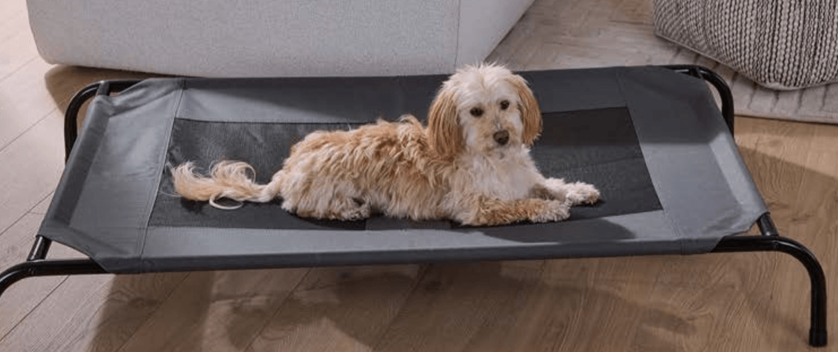 ZOOFARI® Ležaljka - Akcija u trgovini Lidl