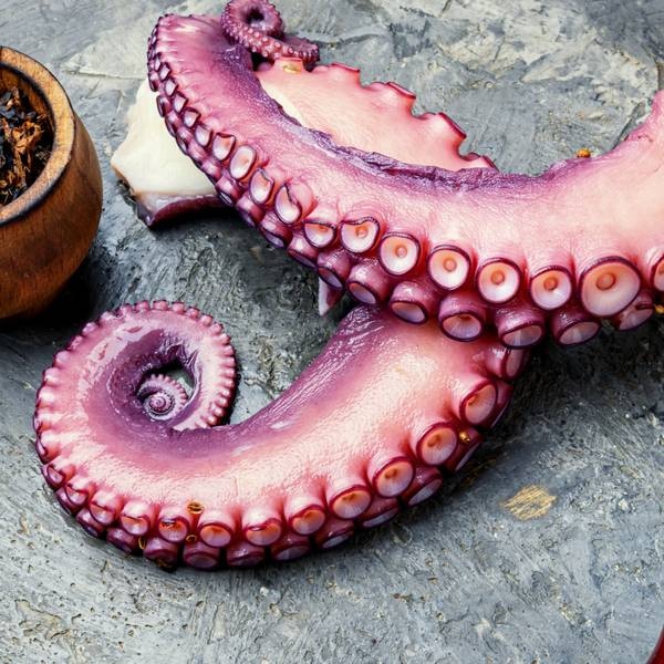 KOGO Krakovi humboldtove lignje - Akcija u trgovini Pivac