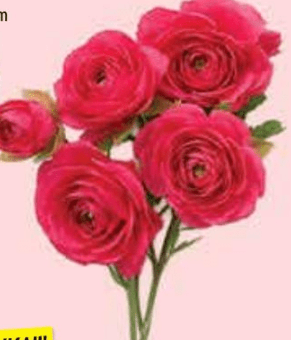 Cvijet umjetni s pet glavica 1 kom - Akcija u trgovini NTL