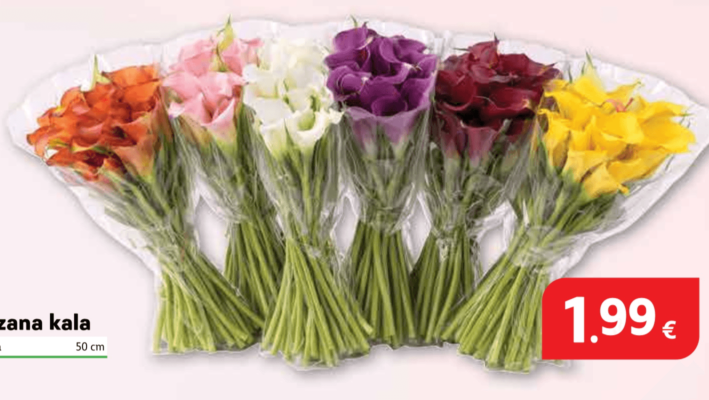 Rezana kala 50 cm - Akcija u trgovini Plodine