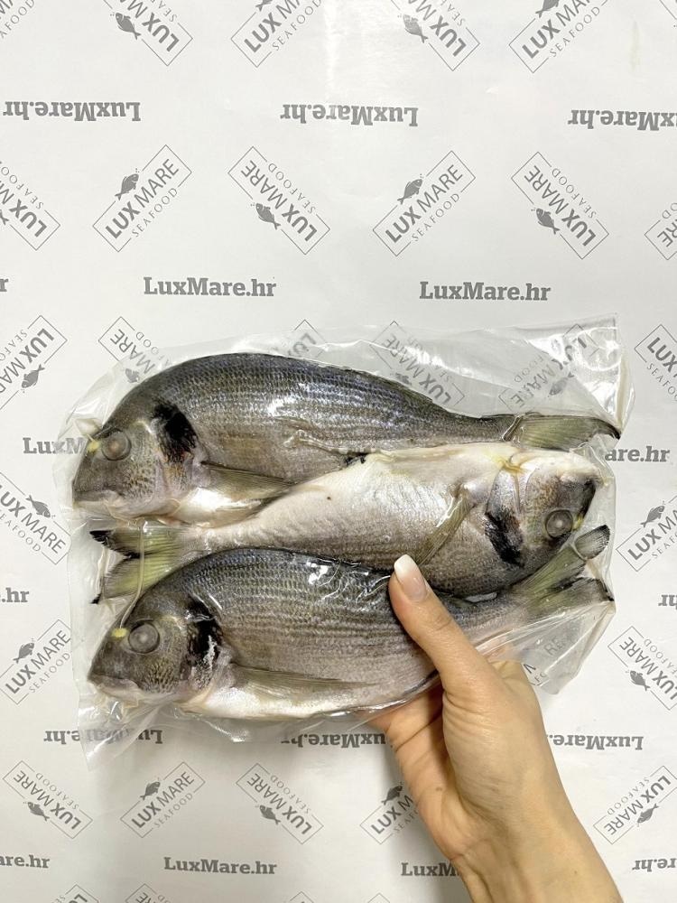Orada 400 - 600 grama/komad