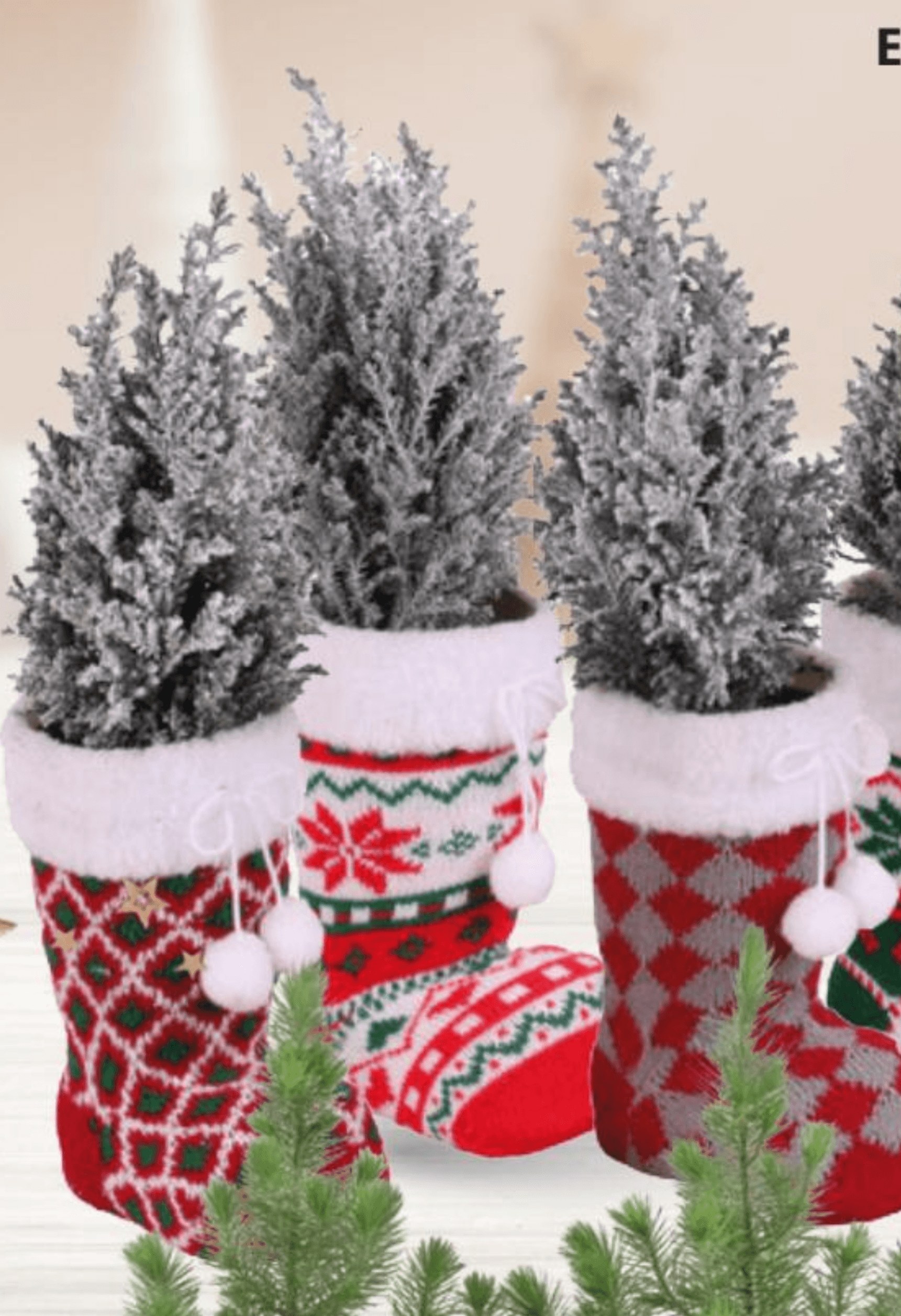 Ellwoodii u čizmi 1 kom