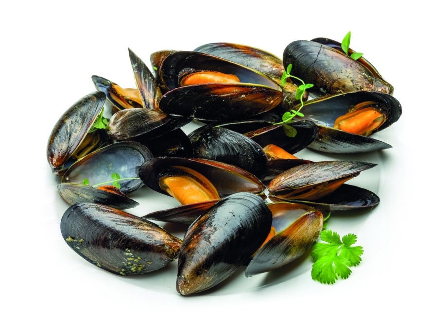 Dagnja 1 kg - Akcija u trgovini Spar